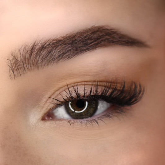 EDGE LASH
